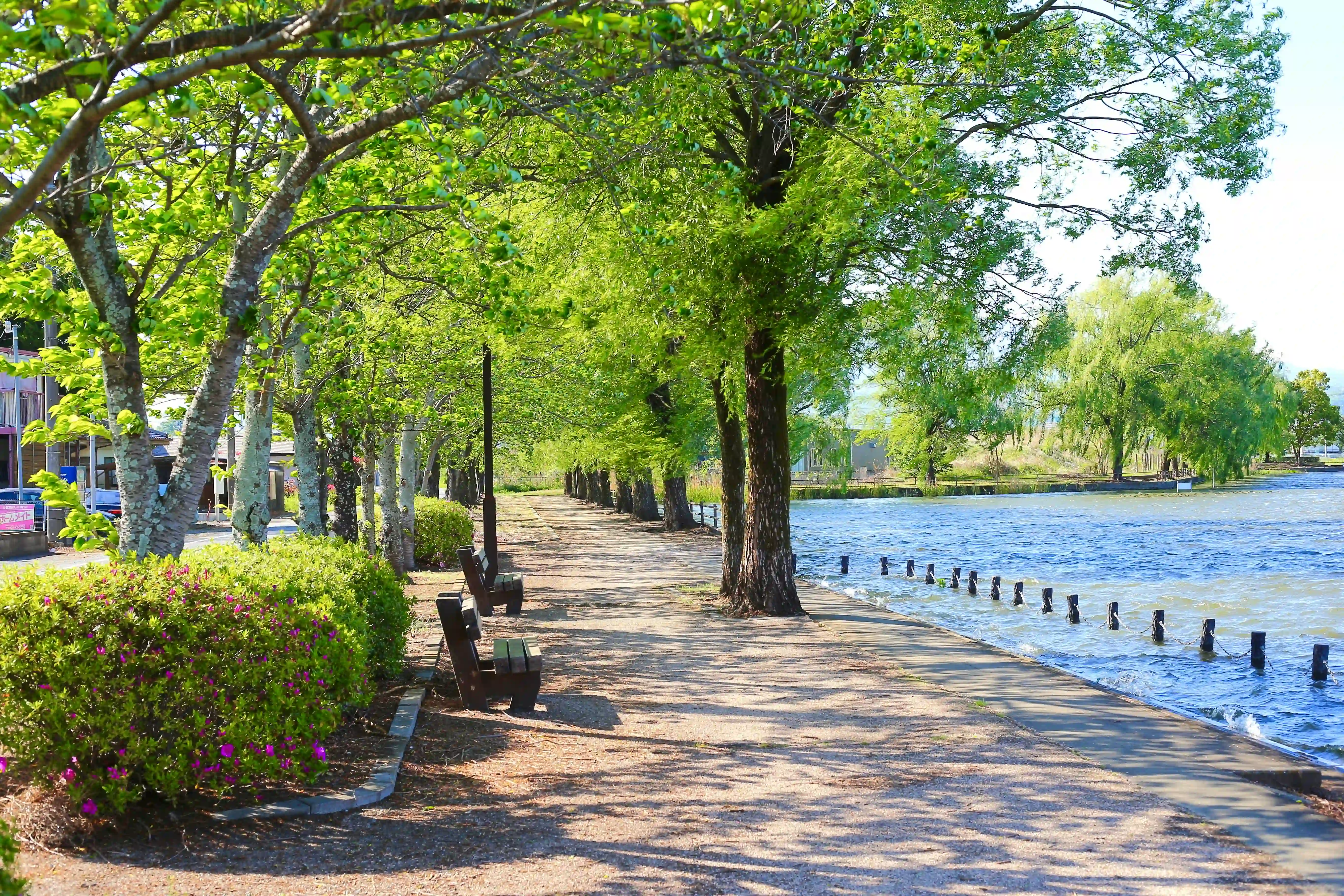 Седьмой дом в астрологии